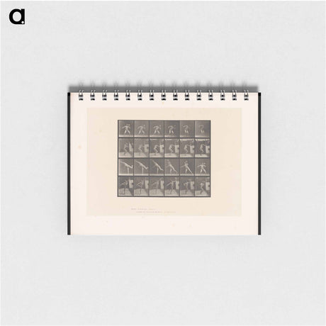 アートメモ帳-The Thrower
 - エドワード マイブリッジ Memo.