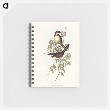 Noisy Brush-bird
 - ジョン グールド Memo.