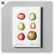 アートパネル-Apple - ピエール ジョゼフ ルドゥーテ Canvas.