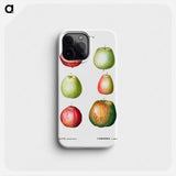 Apple - ピエール ジョゼフ ルドゥーテ Phone Case.
