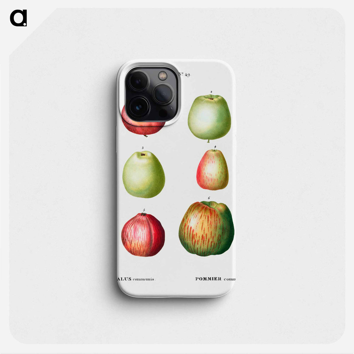 Apple - Pierre Joseph Redouté Phone Case.