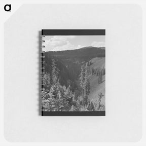 アートメモ帳-Log Raft, Willamette River
 - ラッセル リー Memo.
