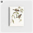 アートメモ帳-Black-headed Honey-eater
 - オーストラリアの鳥 Memo.