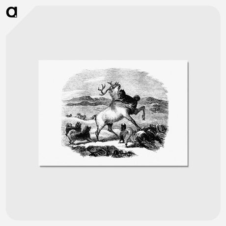 アートポストカード-Barbekark Dogs Hunting Reindeer
 - 大英図書館 Postcard.