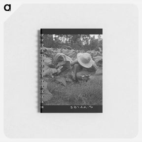 アートメモ帳-Untitled photo - ドロテア ラング Memo.