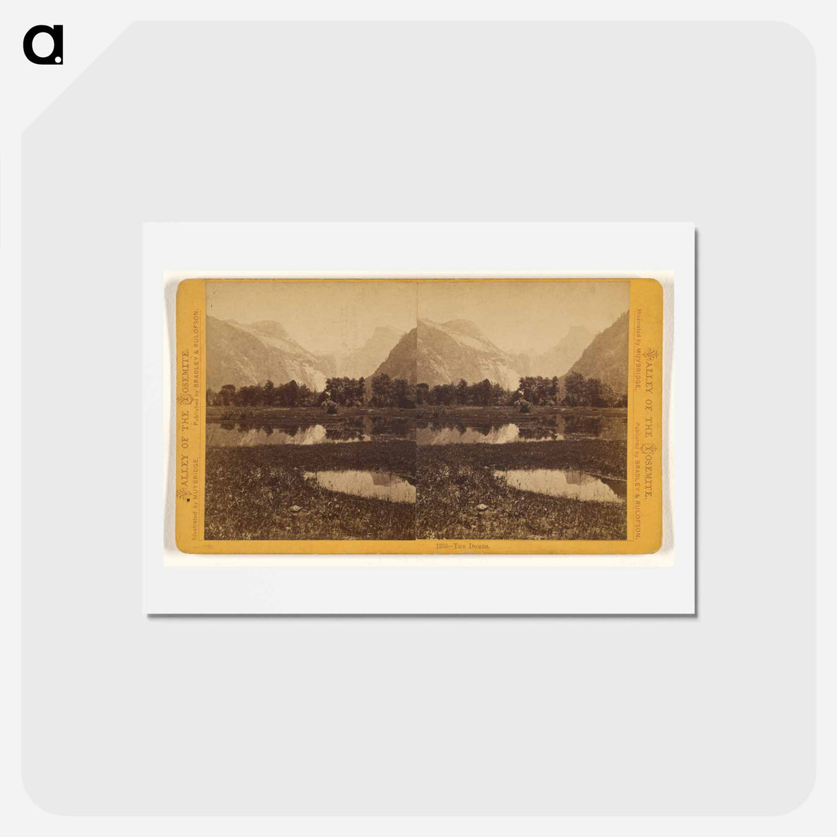 アートポストカード-The Domes
 - エドワード マイブリッジ Postcard.