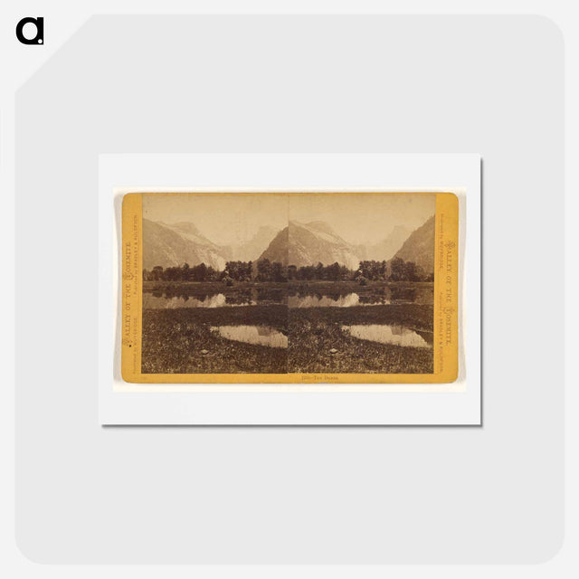 アートポストカード-The Domes
 - エドワード マイブリッジ Postcard.