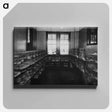 アートパネル-Parrots in Quarantine
 - 国立医学図書館 Canvas.