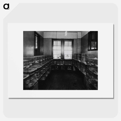 アートポスター-Parrots in Quarantine
 - 国立医学図書館 Poster.