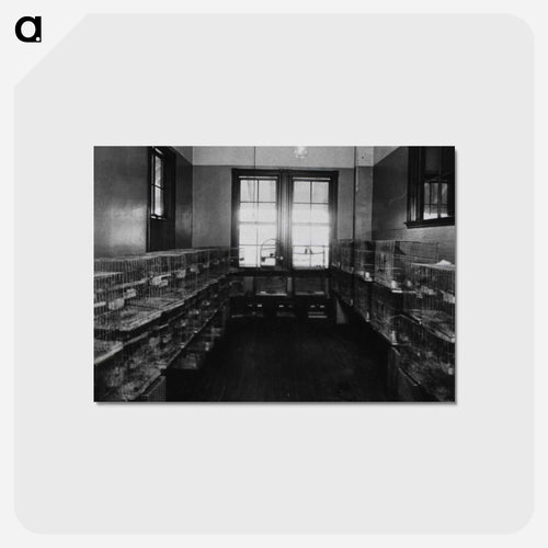 Parrots in Quarantine
 - 国立医学図書館 Postcard.