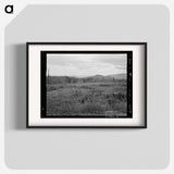 Cleared Pasture Land and Uncleared Piece - Dorothea Lange Poster.