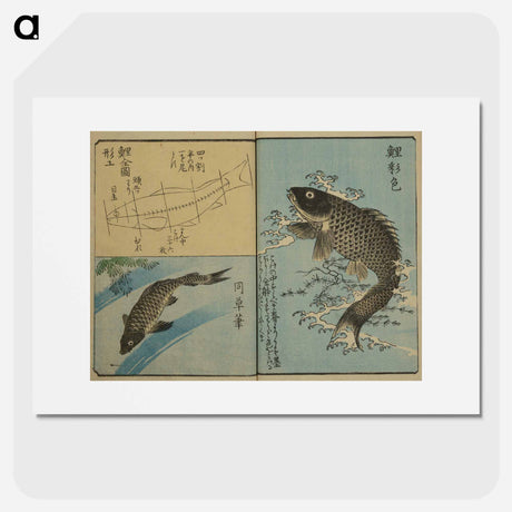 アートポスター-Picture Book for the Practice of Drawing Fish
 - 歌川 広重 Poster.