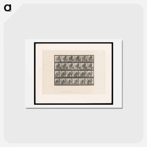 アートポストカード-Walking Horse
 - エドワード マイブリッジ Postcard.