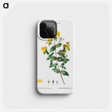 Stinking tutsan - Pierre Joseph Redouté Phone Case.