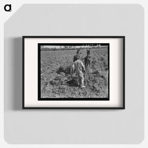アートポスター-Sharecropper cultivating cotton with team - ドロテア ラング Poster.