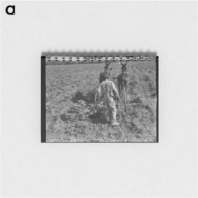 アートメモ帳-Sharecropper cultivating cotton with team - ドロテア ラング Memo.
