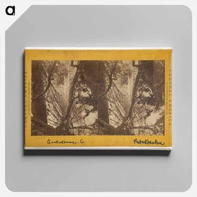 アートパネル-Bridge across the Ocosito River
 - エドワード マイブリッジ Canvas.