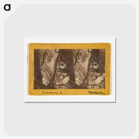 アートポストカード-Bridge across the Ocosito River
 - エドワード マイブリッジ Postcard.