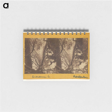 アートメモ帳-Bridge across the Ocosito River
 - エドワード マイブリッジ Memo.