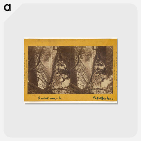 アートポストカード-Bridge across the Ocosito River
 - エドワード マイブリッジ Postcard.