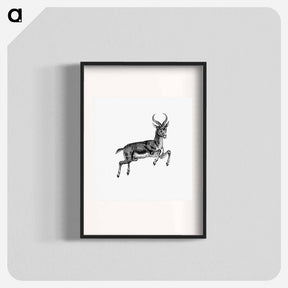 アートポスター-Buck Deer from Portuguese Expedition to Muatianvua
 - 大英図書館 Poster.