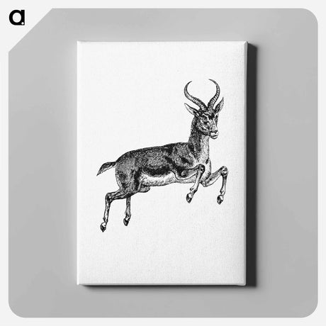 アートパネル-Buck Deer from Portuguese Expedition to Muatianvua
 - 大英図書館 Canvas.
