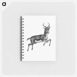 アートメモ帳-Buck Deer from Portuguese Expedition to Muatianvua
 - 大英図書館 Memo.