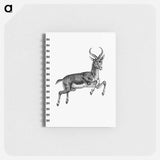 アートメモ帳-Buck Deer from Portuguese Expedition to Muatianvua
 - 大英図書館 Memo.