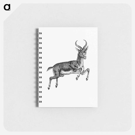 アートメモ帳-Buck Deer from Portuguese Expedition to Muatianvua
 - 大英図書館 Memo.