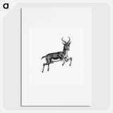 アートポスター-Buck Deer from Portuguese Expedition to Muatianvua
 - 大英図書館 Poster.