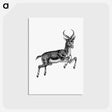 アートポストカード-Buck Deer from Portuguese Expedition to Muatianvua
 - 大英図書館 Postcard.