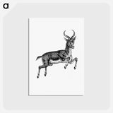 アートポストカード-Buck Deer from Portuguese Expedition to Muatianvua
 - 大英図書館 Postcard.
