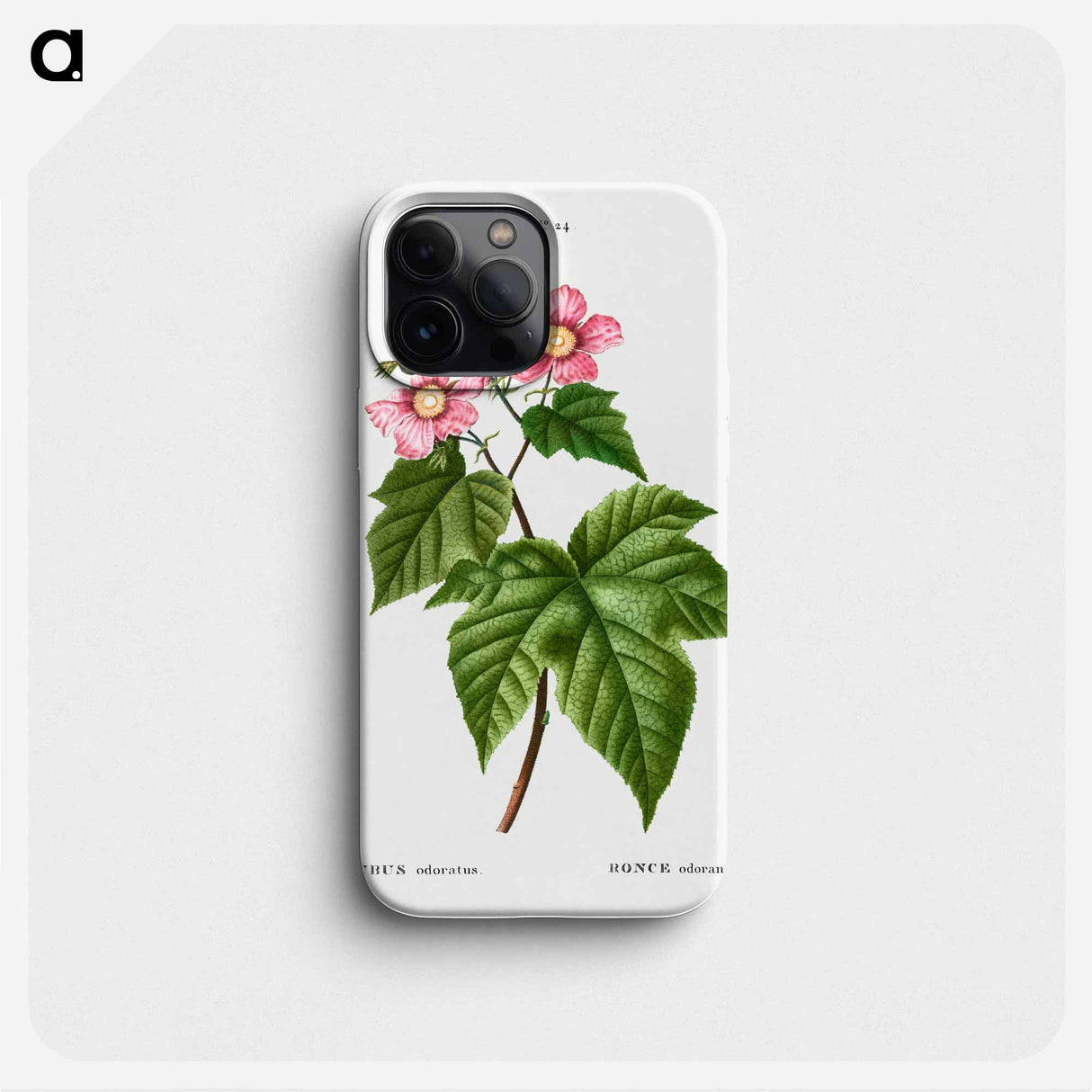 purple flowering raspberry - Pierre Joseph Redouté Phone Case.