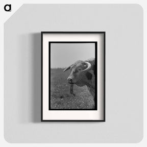 アートポスター-Bull's Head, Cruzen Ranch
 - ラッセル リー Poster.