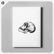 アートパネル-Skull from Voyages and Adventures in Equatorial Africa
 - 大英図書館 Canvas.