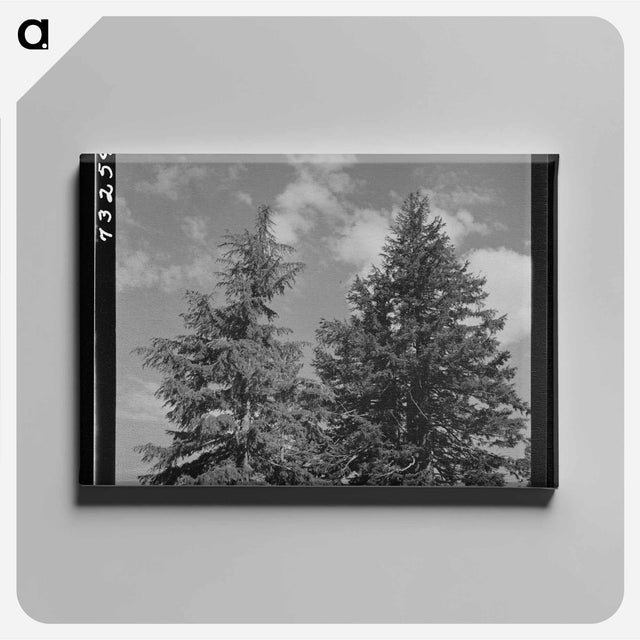 アートパネル-Solitude
 - ラッセル リー Canvas.