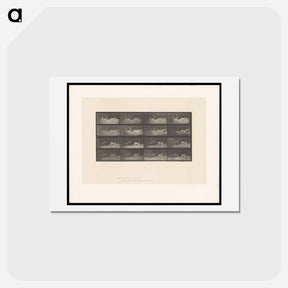 アートポストカード-Running Fallow Deer
 - エドワード マイブリッジ Postcard.