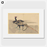 Pheasant and Snake - Katsushika Hokusai Poster.