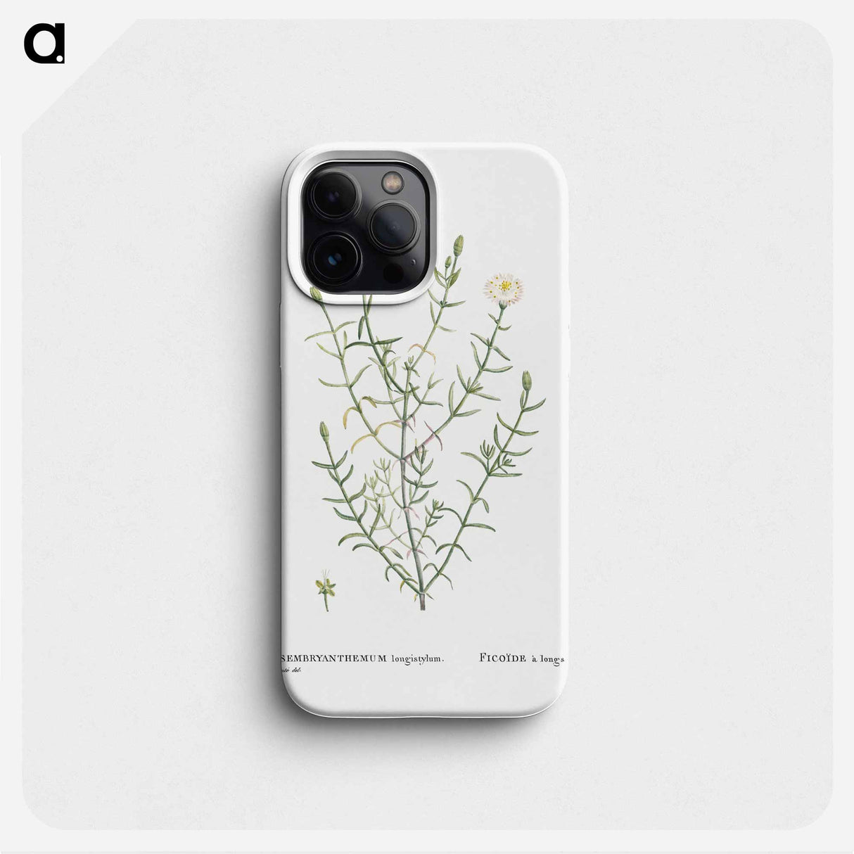 Mesembryanthemum Longistylum - ピエール ジョゼフ ルドゥーテ Phone Case.