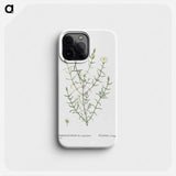 Mesembryanthemum Longistylum - ピエール ジョゼフ ルドゥーテ Phone Case.