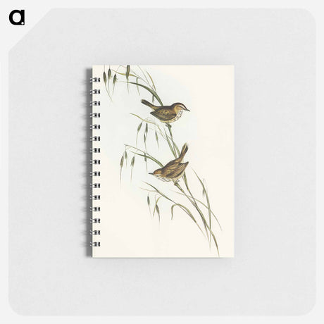 アートメモ帳-Field Reed Lark
 - オーストラリアの鳥 Memo.