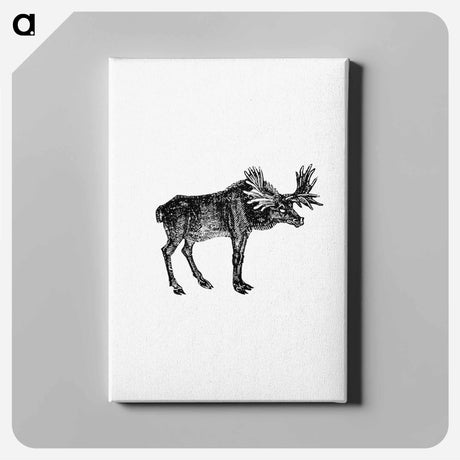 アートパネル-Moose Illustration
 - 大英図書館 Canvas.