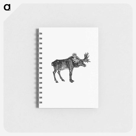 アートメモ帳-Moose Illustration
 - 大英図書館 Memo.