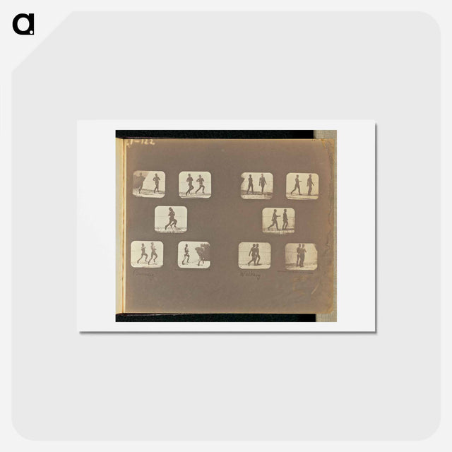 アートポストカード-Running. Walking
 - エドワード マイブリッジ Postcard.
