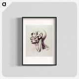 アートポスター-Muscles of the Neck and Face
 - 国立医学図書館 Poster.
