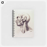 アートメモ帳-Muscles of the Neck and Face
 - 国立医学図書館 Memo.