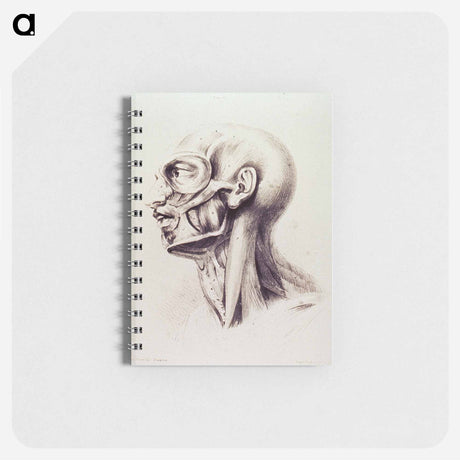 アートメモ帳-Muscles of the Neck and Face
 - 国立医学図書館 Memo.