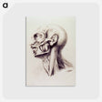 アートポストカード-Muscles of the Neck and Face
 - 国立医学図書館 Postcard.