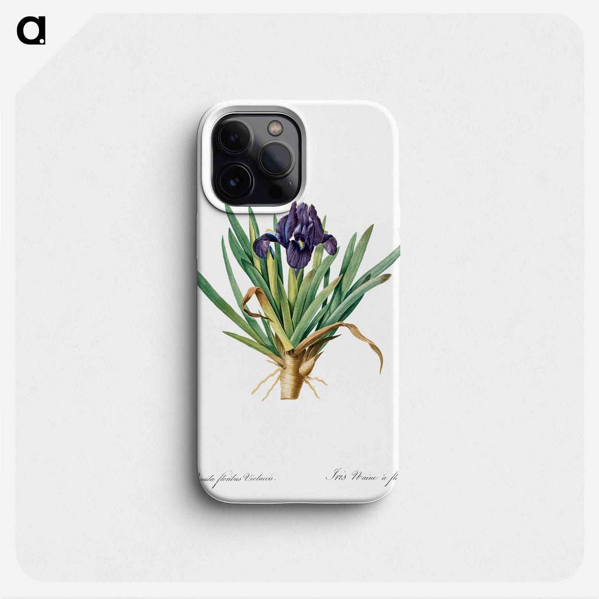 Pygmy iris illustration - ピエール ジョゼフ ルドゥーテ Phone Case.