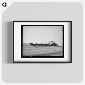 アートポスター-Walla Walla Wheat Harvest
 - ラッセル リー Poster.